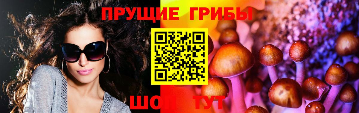 Псилоцибиновые грибы MAGIC MUSHROOMS Ликино-Дулёво