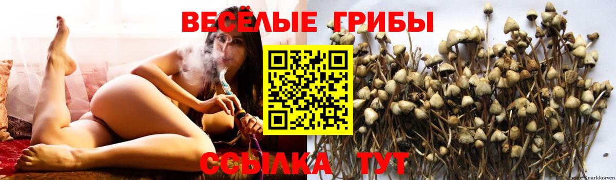 Псилоцибиновые грибы Magic Shrooms  Галлюциногенные грибы Cubensis  Ликино-Дулёво  купить наркоту  Вход с VPN 